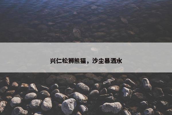 兴仁松狮熊猫，沙尘暴洒水
