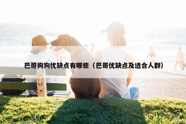 巴哥狗狗优缺点有哪些（巴哥优缺点及适合人群）