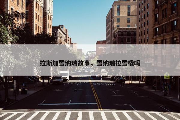 拉斯加雪纳瑞故事，雪纳瑞拉雪橇吗