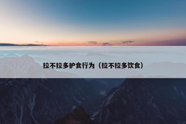 拉不拉多护食行为（拉不拉多饮食）