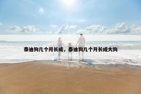 泰迪狗几个月长成，泰迪狗几个月长成大狗