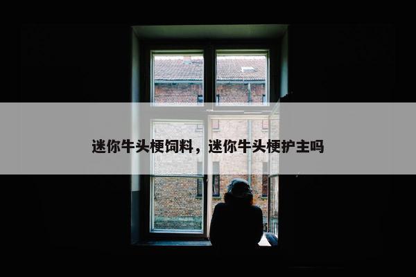 迷你牛头梗饲料，迷你牛头梗护主吗