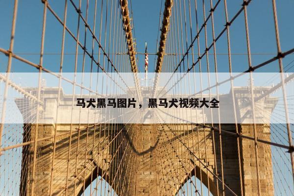 马犬黑马图片，黑马犬视频大全