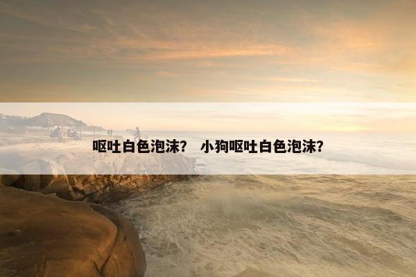 呕吐白色泡沫？ 小狗呕吐白色泡沫？