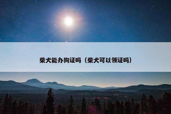 柴犬能办狗证吗（柴犬可以领证吗）