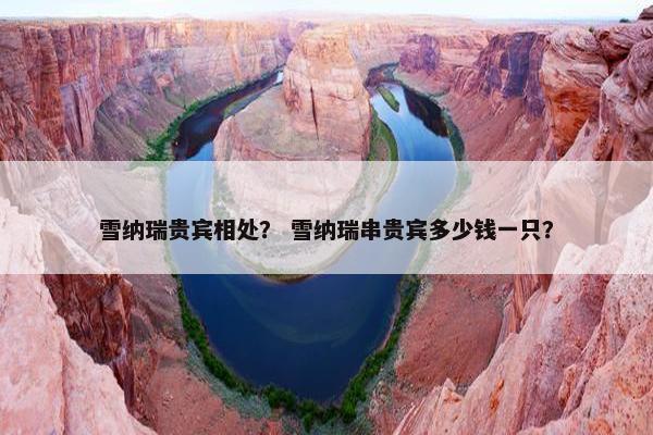 雪纳瑞贵宾相处？ 雪纳瑞串贵宾多少钱一只？