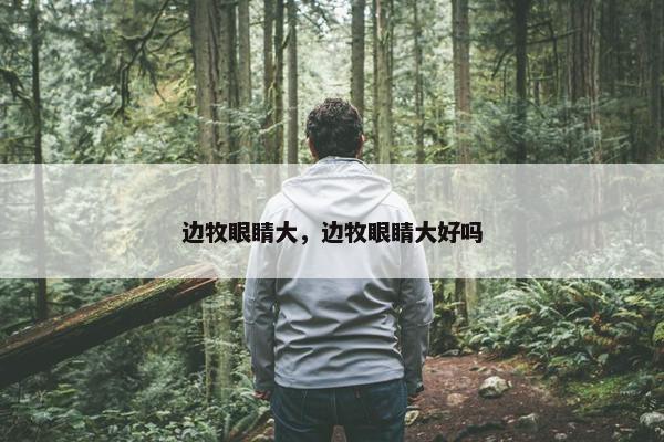 边牧眼睛大，边牧眼睛大好吗