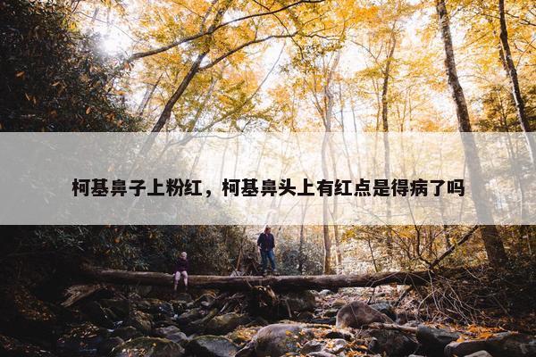 柯基鼻子上粉红，柯基鼻头上有红点是得病了吗