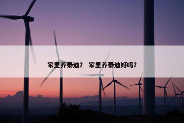 家里养泰迪？ 家里养泰迪好吗？