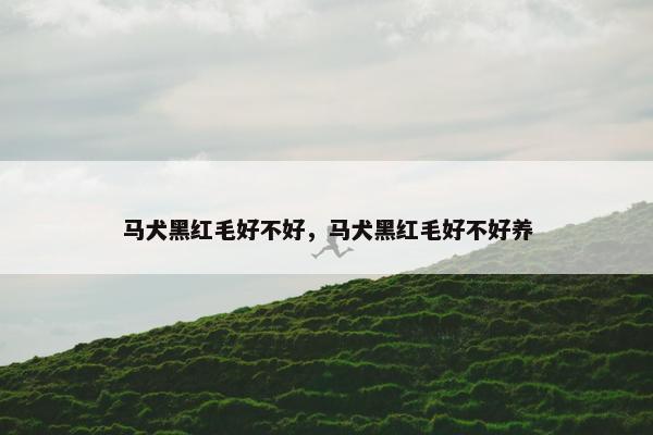 马犬黑红毛好不好，马犬黑红毛好不好养