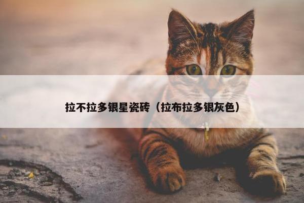 拉不拉多银星瓷砖（拉布拉多银灰色）