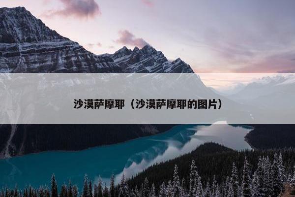 沙漠萨摩耶（沙漠萨摩耶的图片）