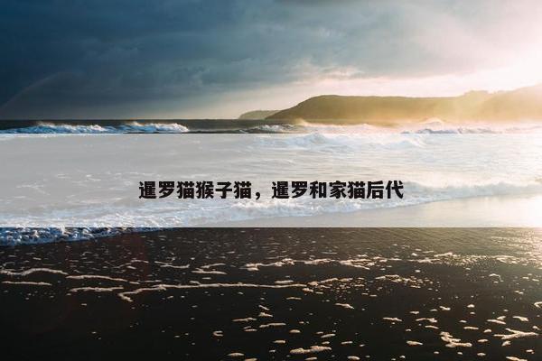 暹罗猫猴子猫，暹罗和家猫后代