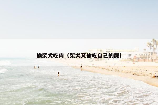偷柴犬吃肉（柴犬又偷吃自己的屎）