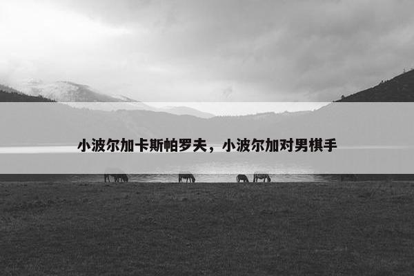 小波尔加卡斯帕罗夫，小波尔加对男棋手
