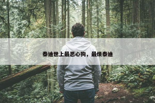 泰迪世上最恶心狗，最烦泰迪