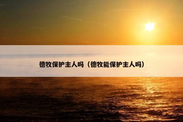德牧保护主人吗（德牧能保护主人吗）