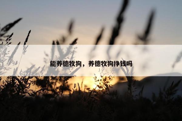 能养德牧狗，养德牧狗挣钱吗
