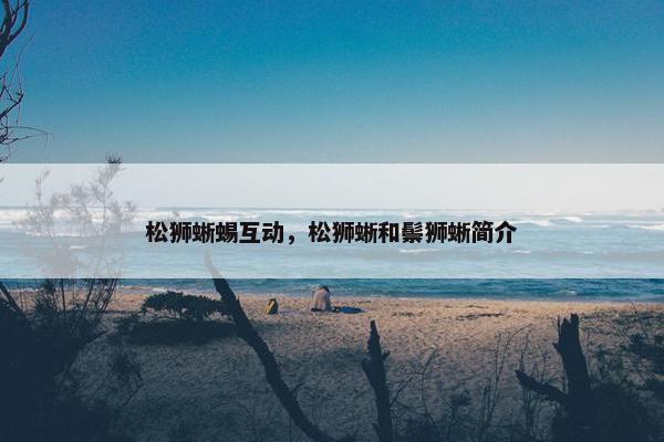 松狮蜥蜴互动，松狮蜥和鬃狮蜥简介