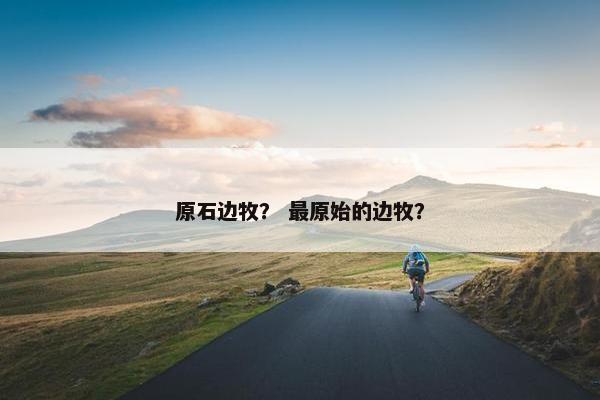 原石边牧？ 最原始的边牧？