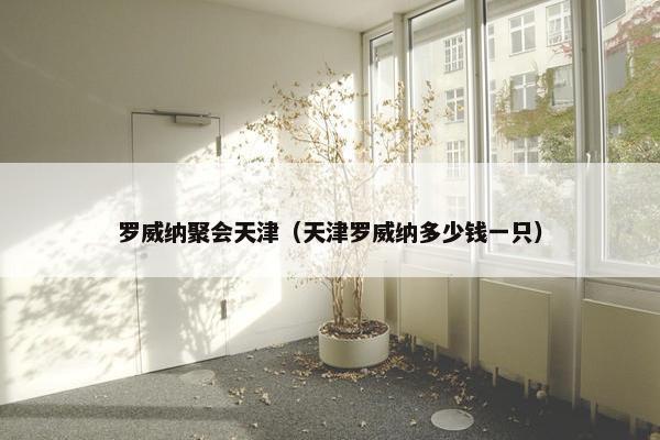 罗威纳聚会天津（天津罗威纳多少钱一只）