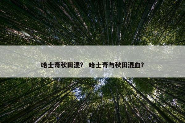 哈士奇秋田混？ 哈士奇与秋田混血？