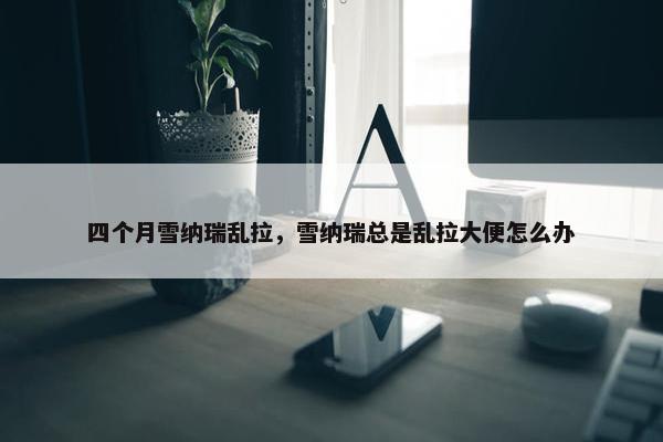 四个月雪纳瑞乱拉，雪纳瑞总是乱拉大便怎么办