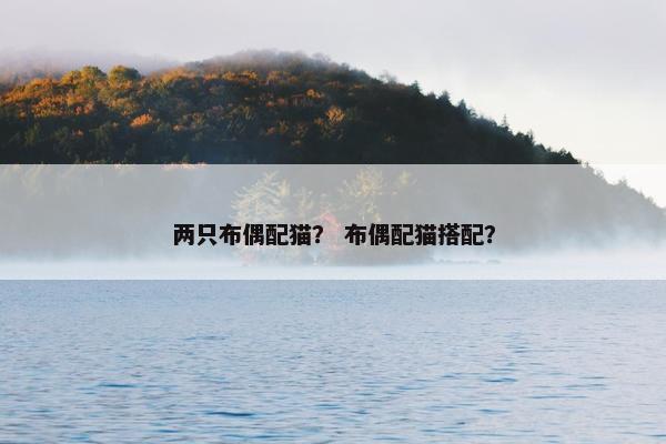两只布偶配猫？ 布偶配猫搭配？