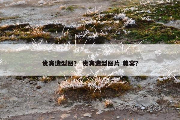 贵宾造型图？ 贵宾造型图片 美容？