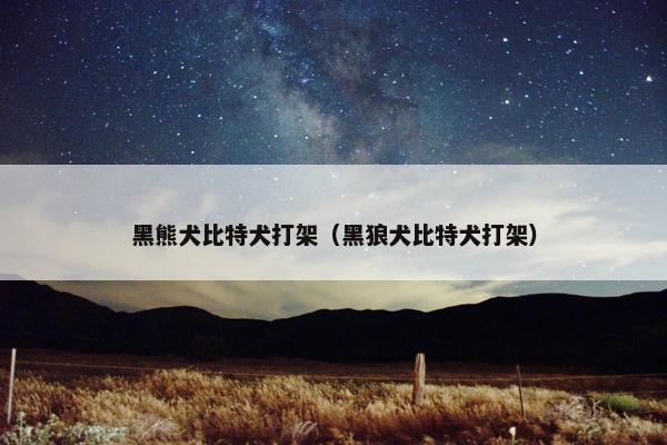 黑熊犬比特犬打架（黑狼犬比特犬打架）