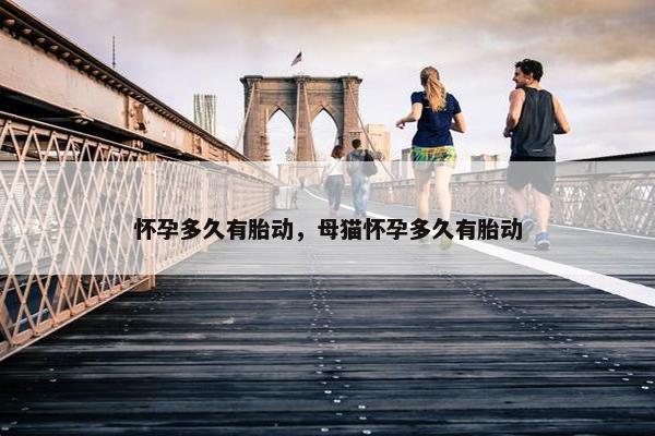 怀孕多久有胎动，母猫怀孕多久有胎动