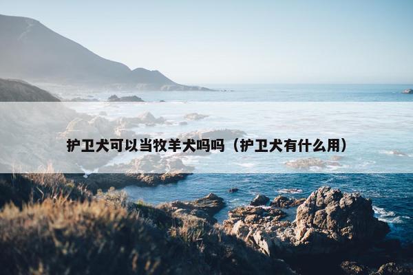 护卫犬可以当牧羊犬吗吗（护卫犬有什么用）