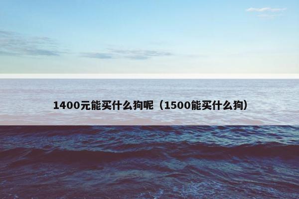 1400元能买什么狗呢（1500能买什么狗）