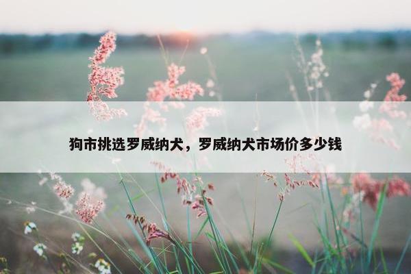 狗市挑选罗威纳犬，罗威纳犬市场价多少钱