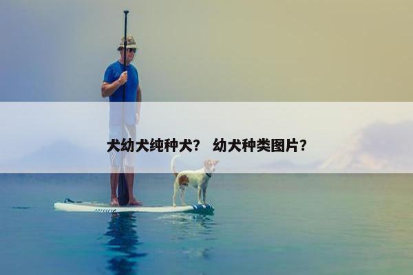 犬幼犬纯种犬？ 幼犬种类图片？