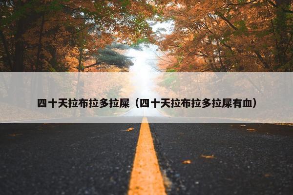 四十天拉布拉多拉屎（四十天拉布拉多拉屎有血）