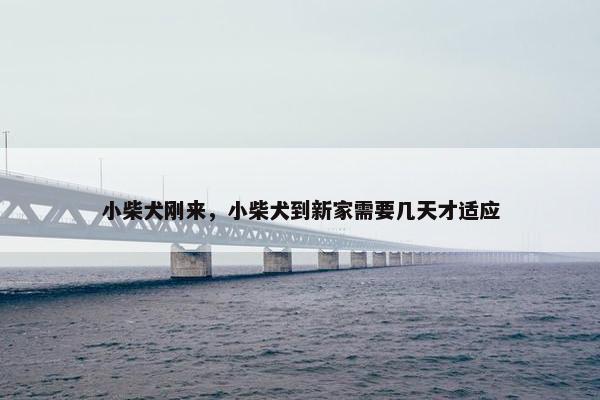 小柴犬刚来，小柴犬到新家需要几天才适应