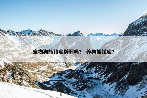 宠物狗能镇宅辟邪吗？ 养狗能镇宅？