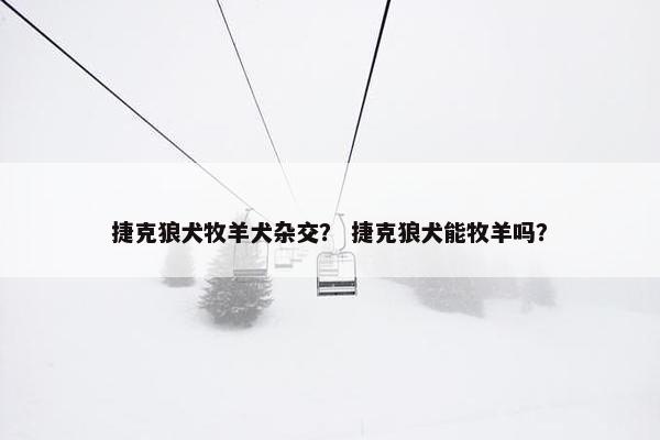 捷克狼犬牧羊犬杂交？ 捷克狼犬能牧羊吗？