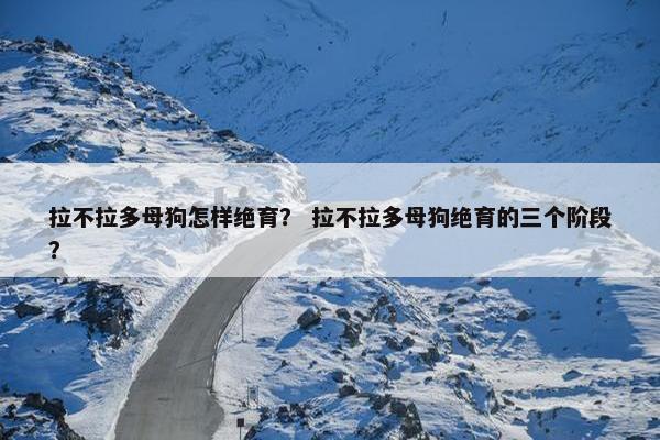 拉不拉多母狗怎样绝育？ 拉不拉多母狗绝育的三个阶段？
