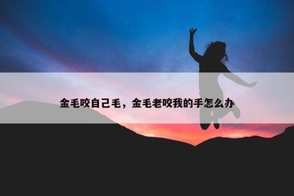 金毛咬自己毛，金毛老咬我的手怎么办