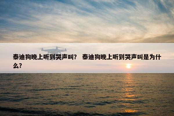 泰迪狗晚上听到哭声叫？ 泰迪狗晚上听到哭声叫是为什么？