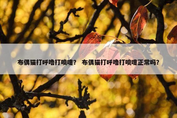 布偶猫打呼噜打喷嚏？ 布偶猫打呼噜打喷嚏正常吗？