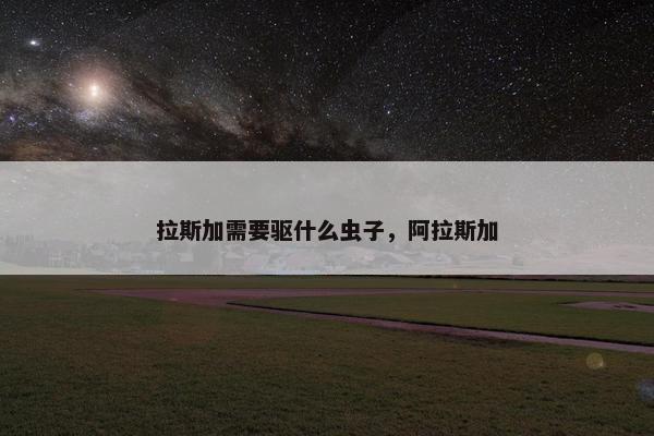 拉斯加需要驱什么虫子，阿拉斯加