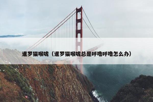 暹罗猫喉咙（暹罗猫喉咙总是呼噜呼噜怎么办）