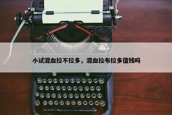 小试混血拉不拉多，混血拉布拉多值钱吗