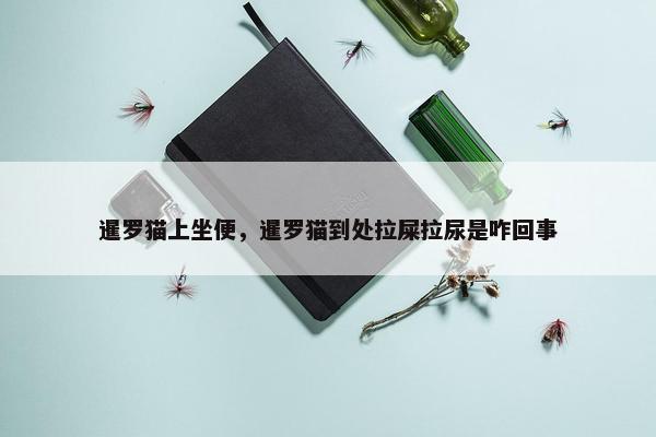 暹罗猫上坐便，暹罗猫到处拉屎拉尿是咋回事