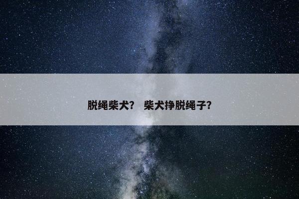 脱绳柴犬？ 柴犬挣脱绳子？