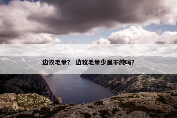 边牧毛量？ 边牧毛量少是不纯吗？