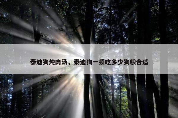 泰迪狗炖肉汤，泰迪狗一顿吃多少狗粮合适